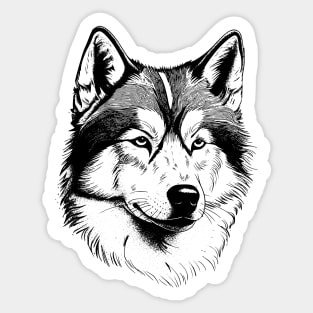 Alaskan Malamute dog minimalistic art illustration in black and white Sticker